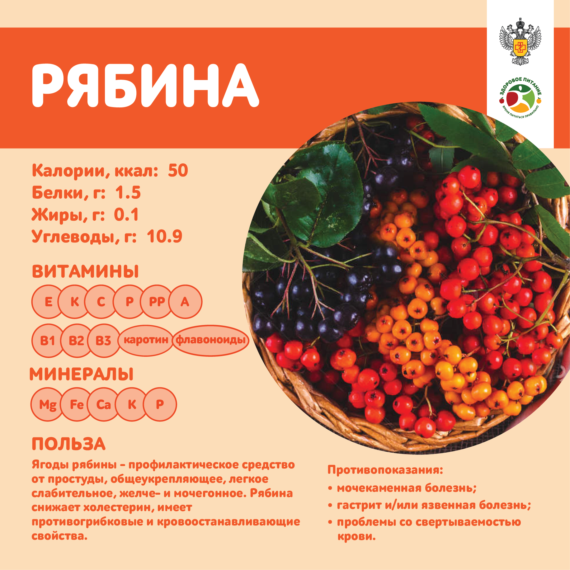 продукты